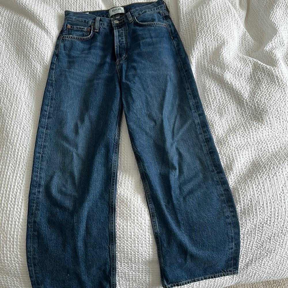 Agolde Ren Wide Leg Jeans